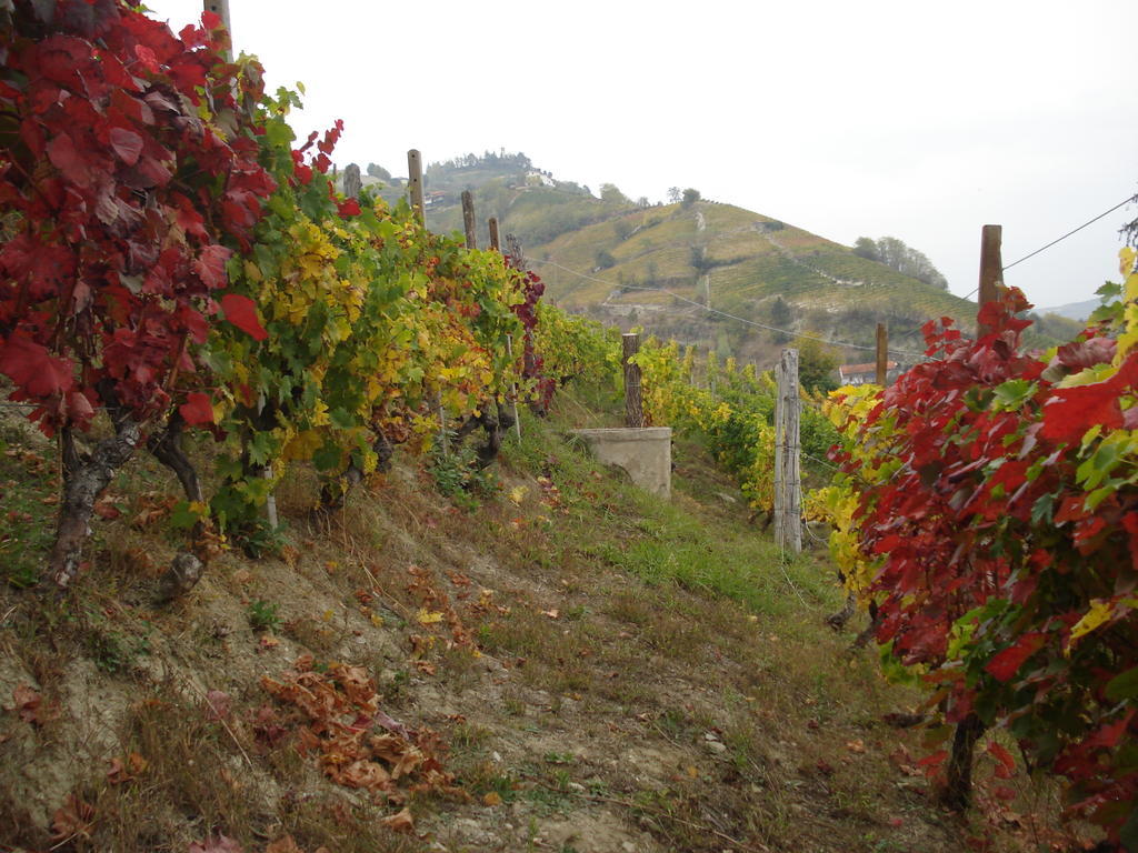 Agriturismo Cascina L'Arche Santo Stefano Belbo Luaran gambar